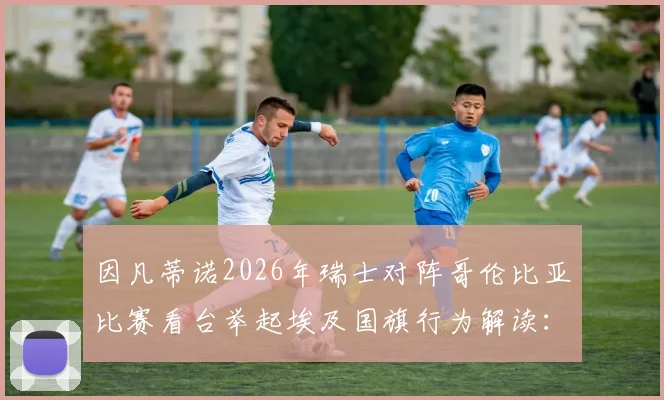 因凡蒂诺2026年瑞士对阵哥伦比亚比赛看台举起埃及国旗行为解读：背后含义与足球外交分析