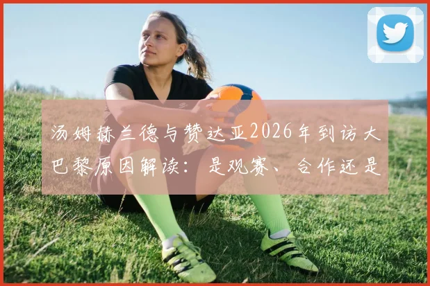 汤姆赫兰德与赞达亚2026年到访大巴黎原因解读：是观赛、合作还是另有深意？蜘蛛侠夫妇巴黎行全分析
